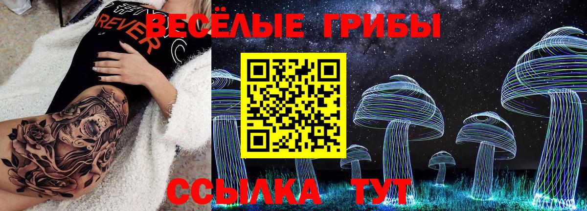 Галлюциногенные грибы мухоморы  Псилоцибиновые грибы MAGIC MUSHROOMS  Ессентуки  купить наркоту  Вход с VPN 